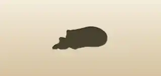 ルーン文字のシルエット