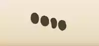 Runes