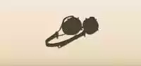 Goggles