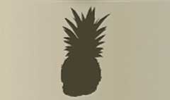 Pineapple silhouette