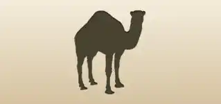 Camel silhouette