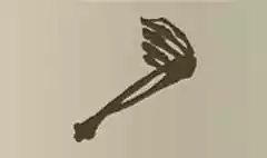 Skeleton Arm