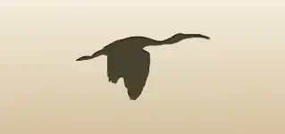 Scarlet Ibis silhouette