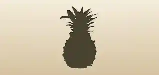 Pineapple silhouette