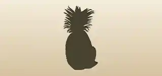 Pineapple silhouette