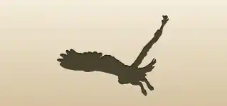 Owl silhouette