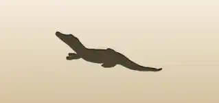 Crocodile silhouette