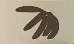 Bananas