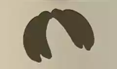 Bananas