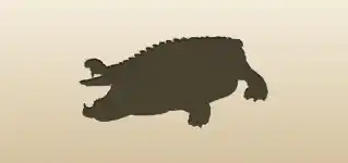 Crocodile silhouette