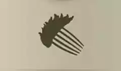 Decorative Comb