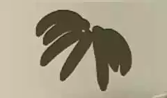 Bananas