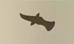 Dagger