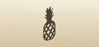 Pineapple silhouette