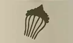Decorative Comb
