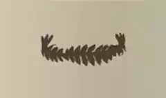 Laurel Wreath