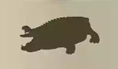 Crocodile