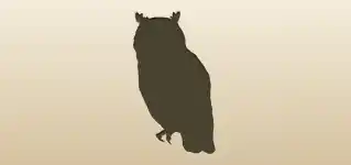 Owl silhouette