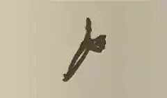 Skeleton Arm