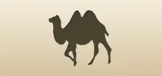 Camel silhouette