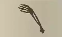 Skeleton Arm