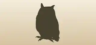 Owl silhouette