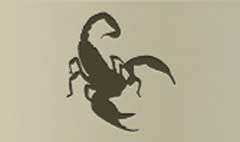 Scorpion silhouette #2