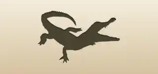 Crocodile silhouette