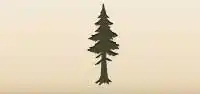 Pine silhouette
