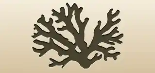 サンゴのシルエット