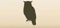 Owl silhouette