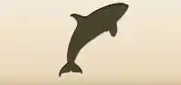 Orca silhouette