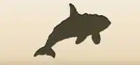 Orca silhouette