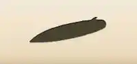 Surfboard silhouette