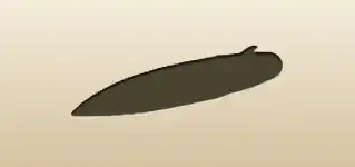 サーフボードのシルエット