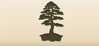 Pine silhouette