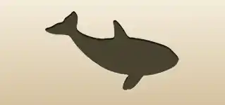 シャチのシルエット