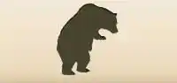 Bear silhouette