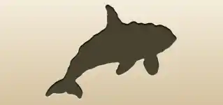 シャチのシルエット