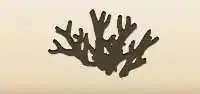 Coral silhouette