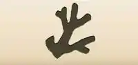 Coral silhouette