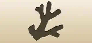 サンゴのシルエット