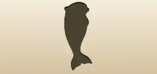 シャチのシルエット
