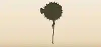 Fugu silhouette