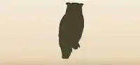 Owl silhouette