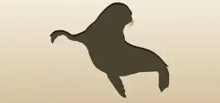 アシカのシルエット