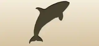 シャチのシルエット