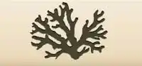 Coral silhouette