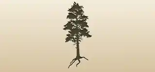 松の木のシルエット