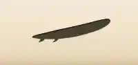 Surfboard silhouette